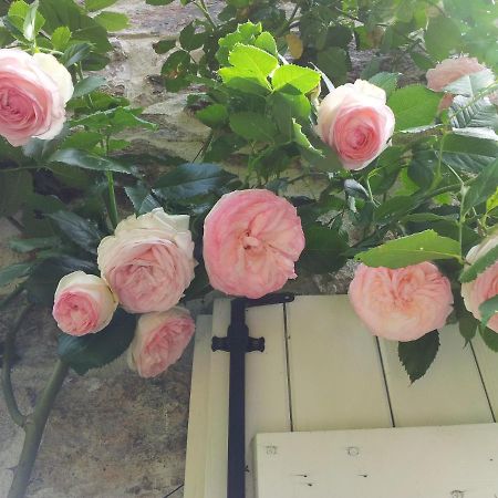 B&B Maison Coralie Sainte-Christine  Dış mekan fotoğraf