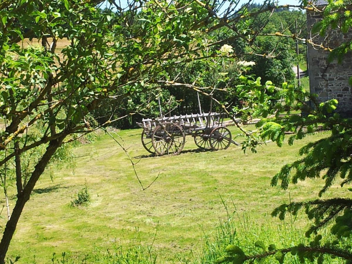 B&B Maison Coralie Sainte-Christine  Dış mekan fotoğraf