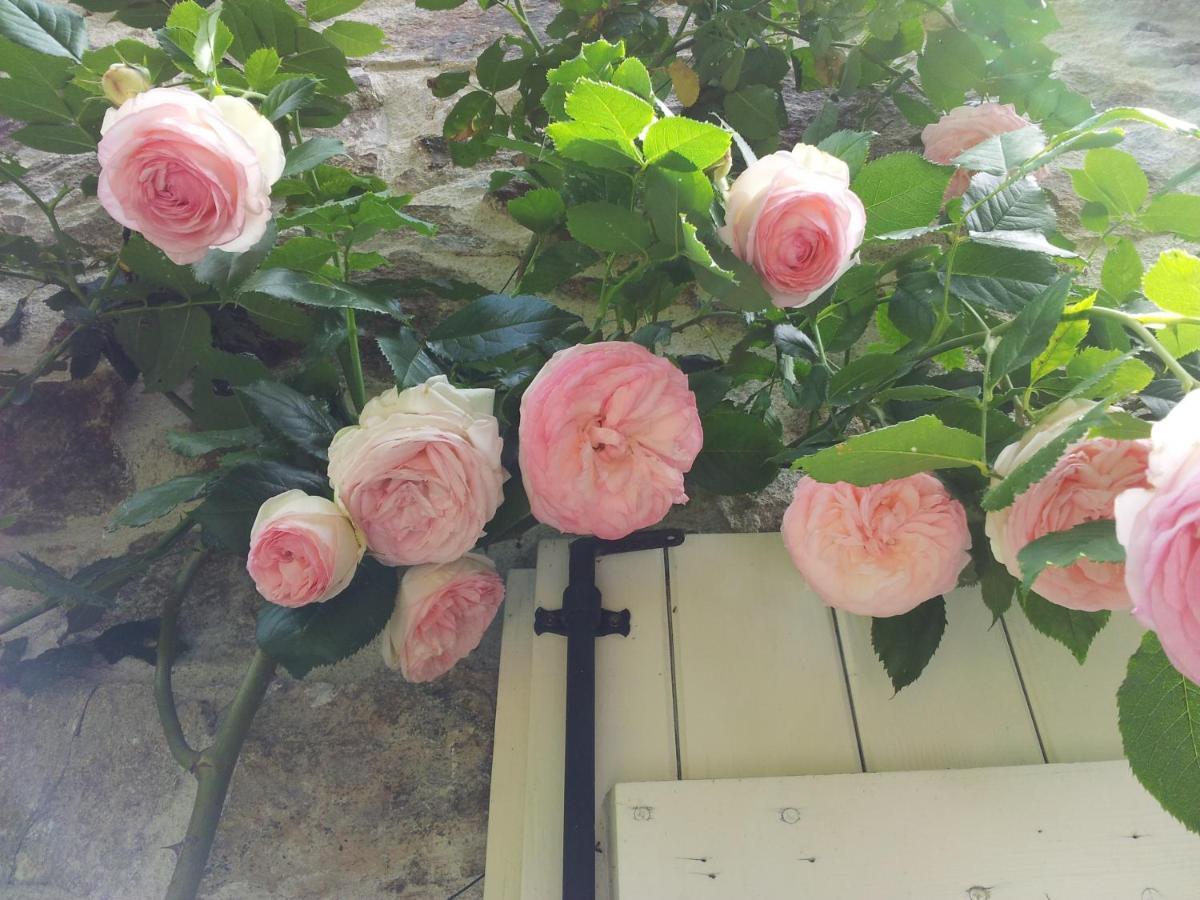 B&B Maison Coralie Sainte-Christine  Dış mekan fotoğraf